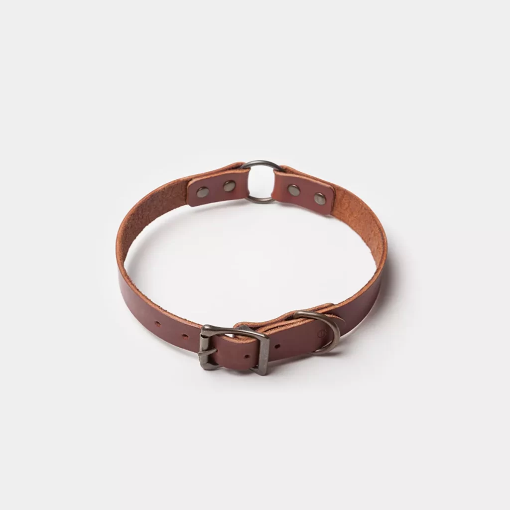 Dog Collar Brown