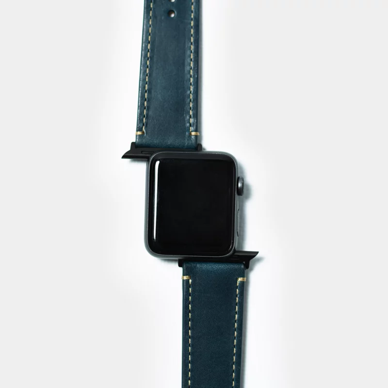 leather iwatch strap in ocean